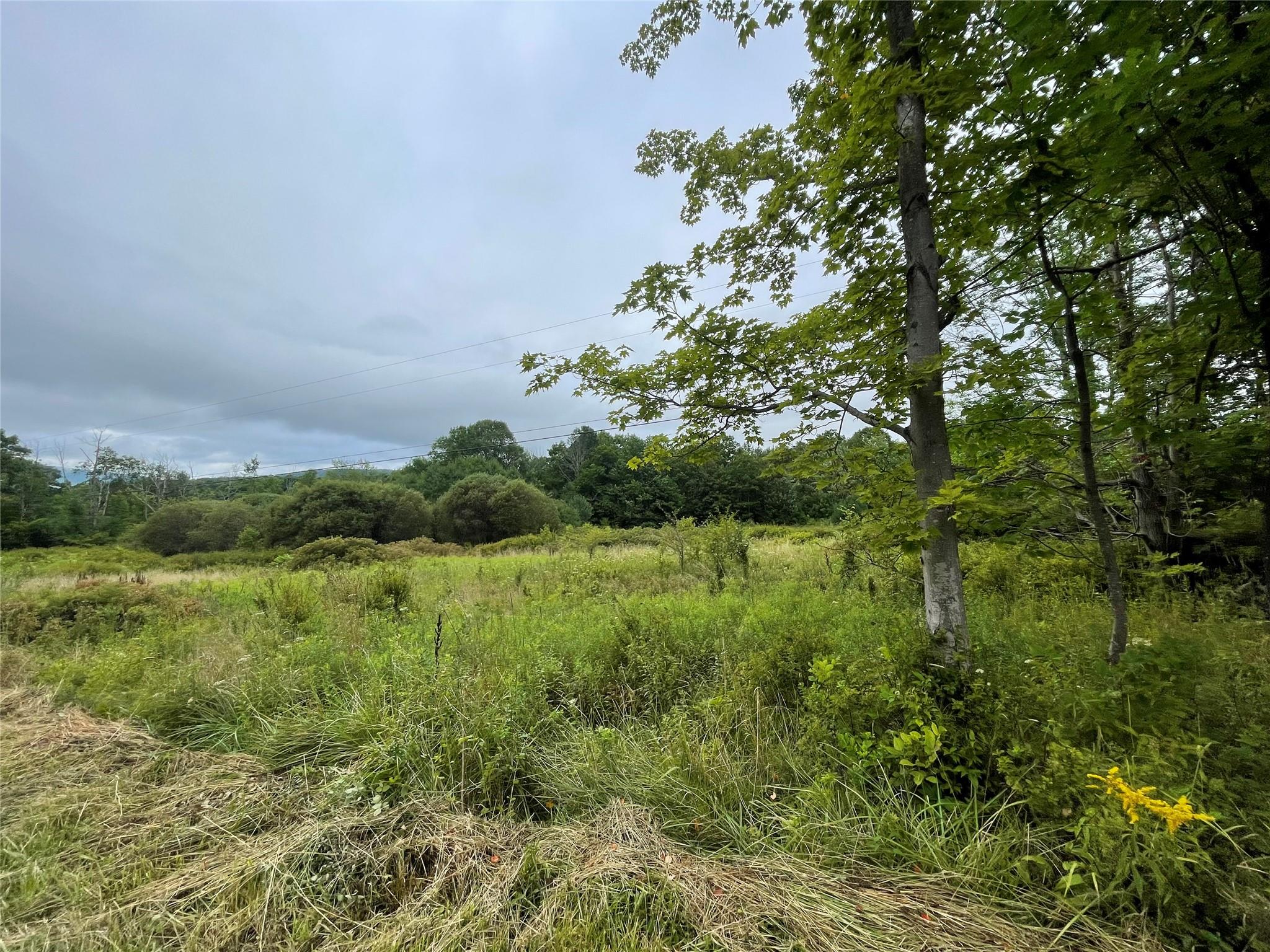 Basil Todd Road, Fleischmanns, New York image 5