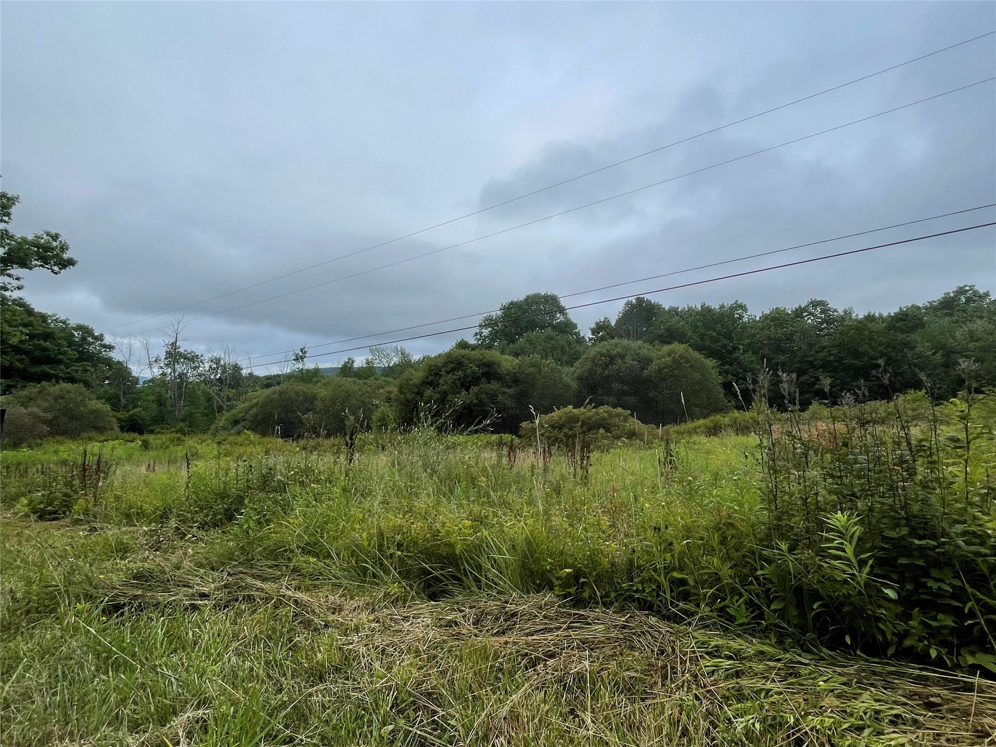 Basil Todd Road, Fleischmanns, New York image 1