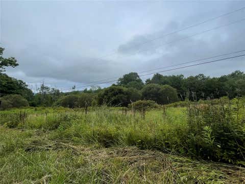 Vacant Land For Sale - Basil Todd Road<br/> Delaware County, Fleischmanns, NY 12430