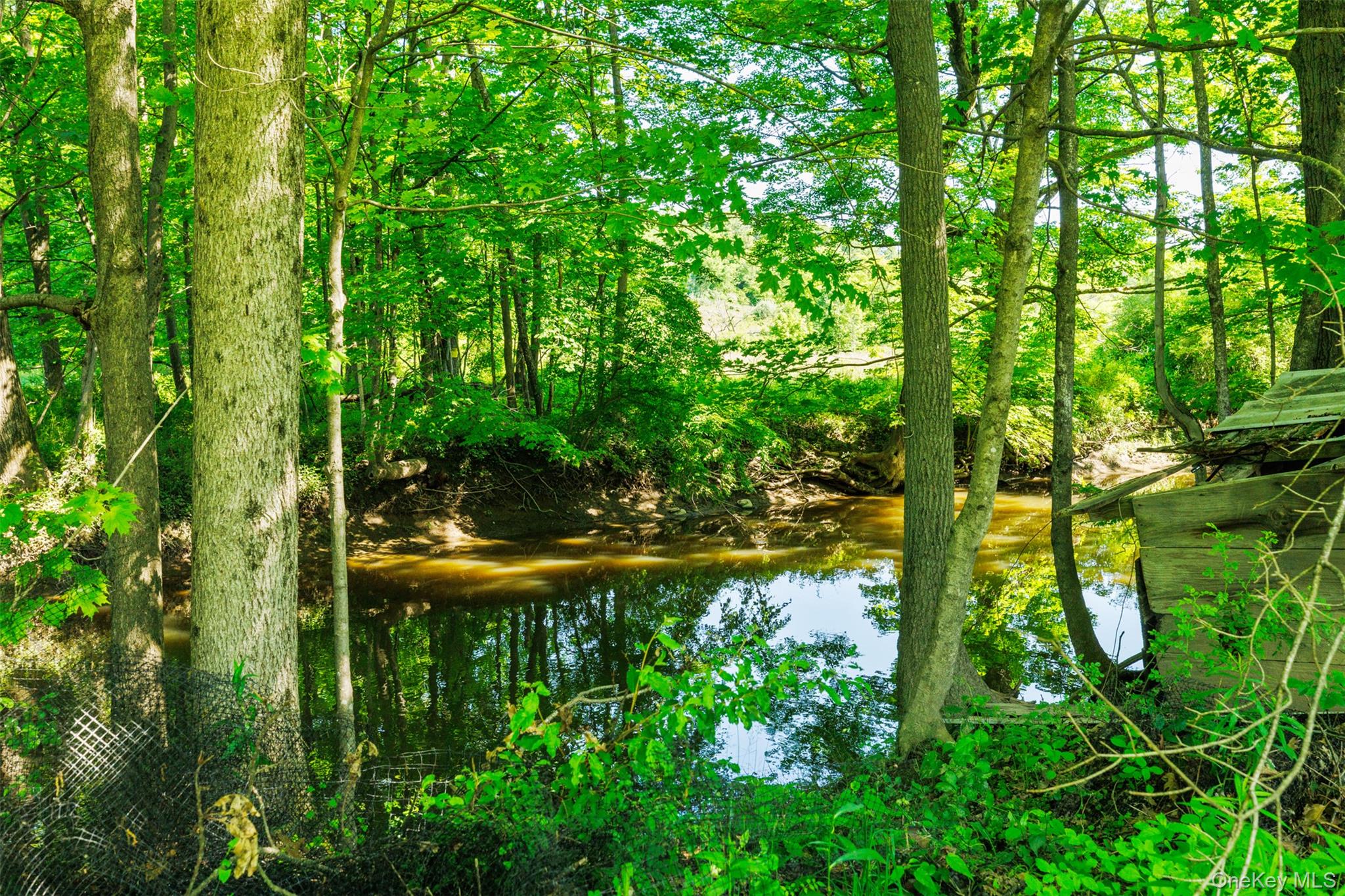 TBD Pompeys Cave Road