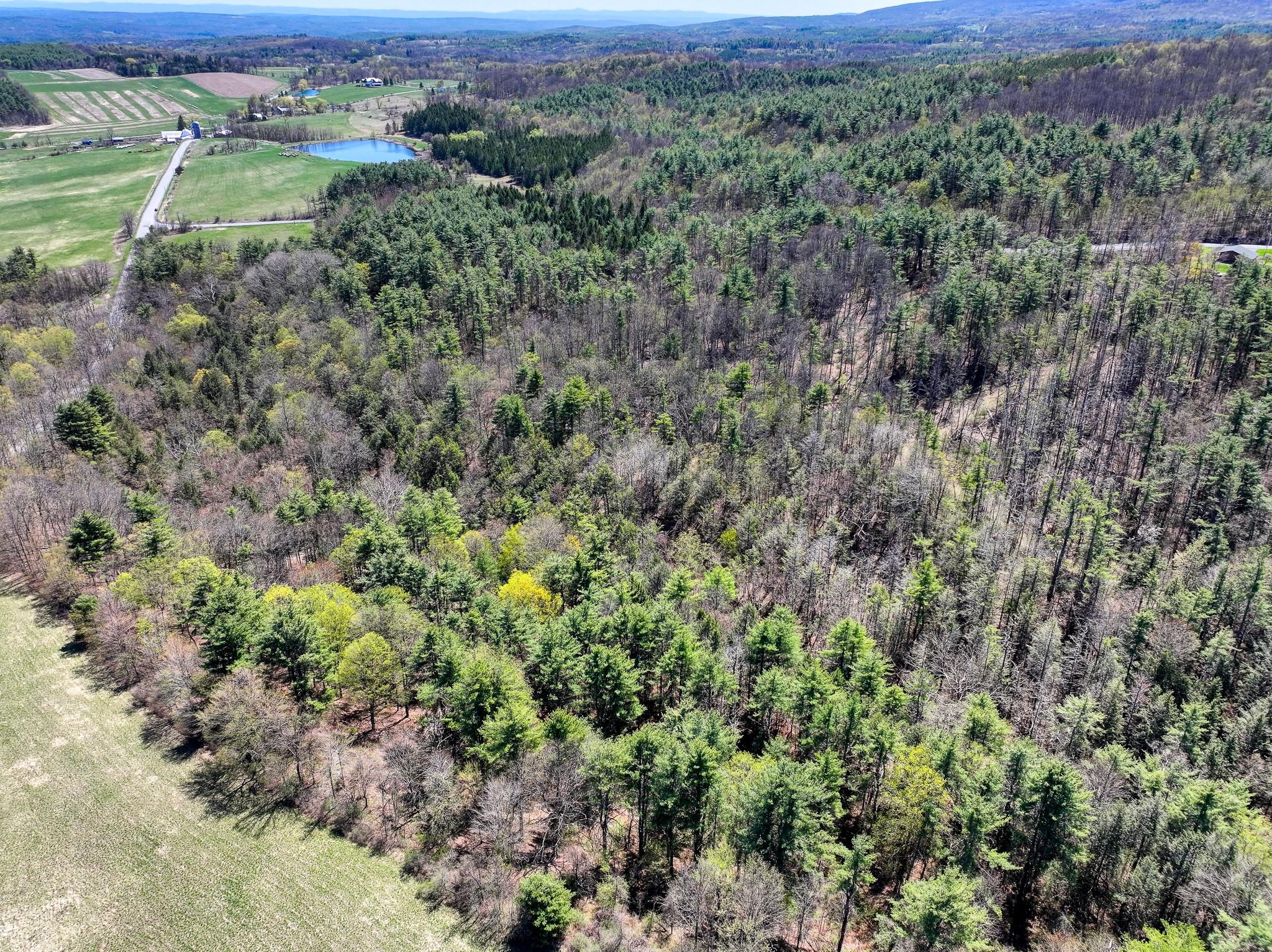 Cunningham/cochrane Road, Durham, New York image 15