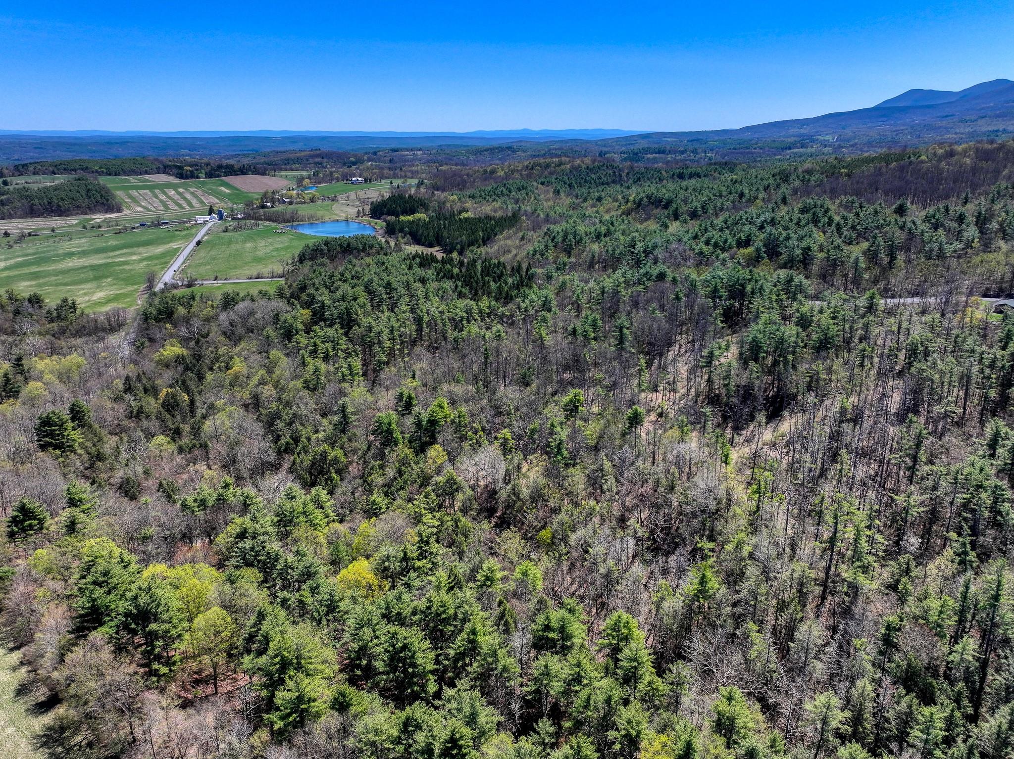 Cunningham/cochrane Road, Durham, New York image 12