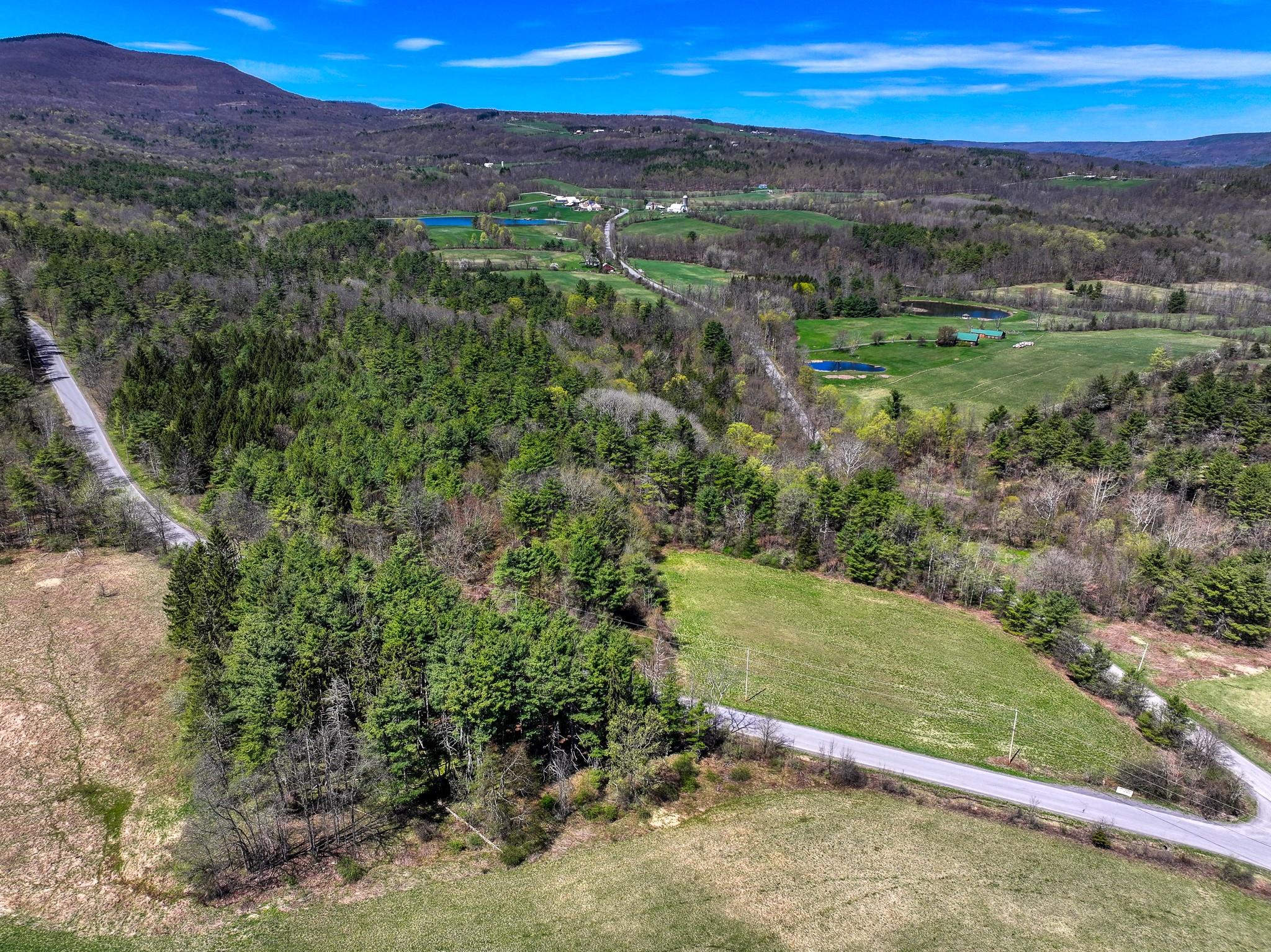 Cunningham/cochrane Road, Durham, New York image 19