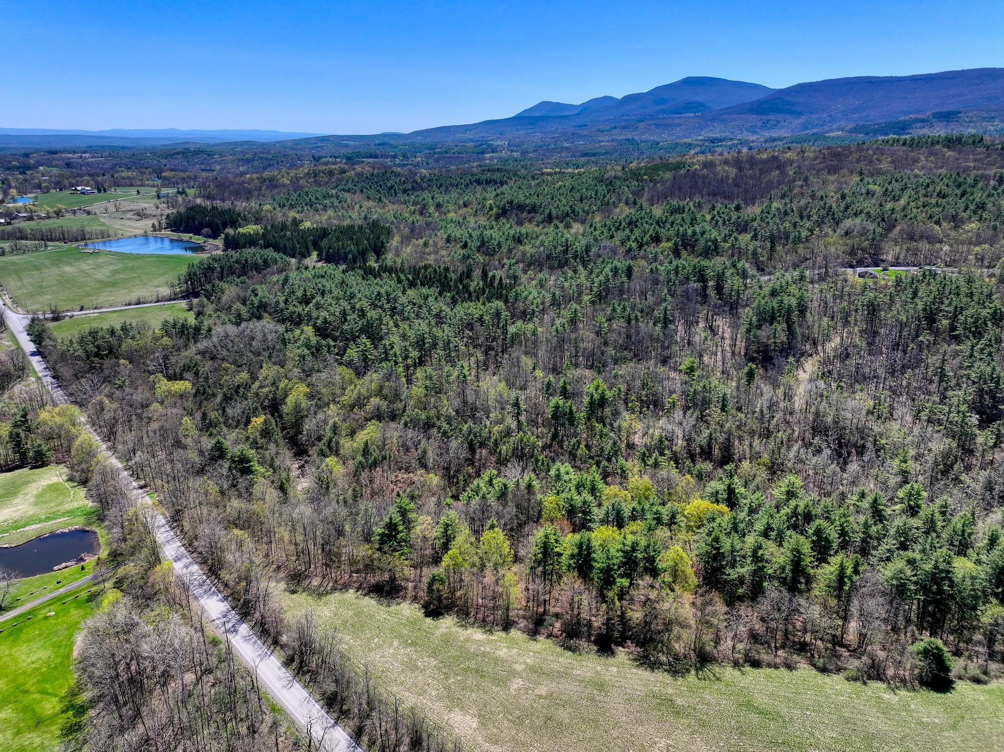 Cunningham/cochrane Road, Durham, New York image 14