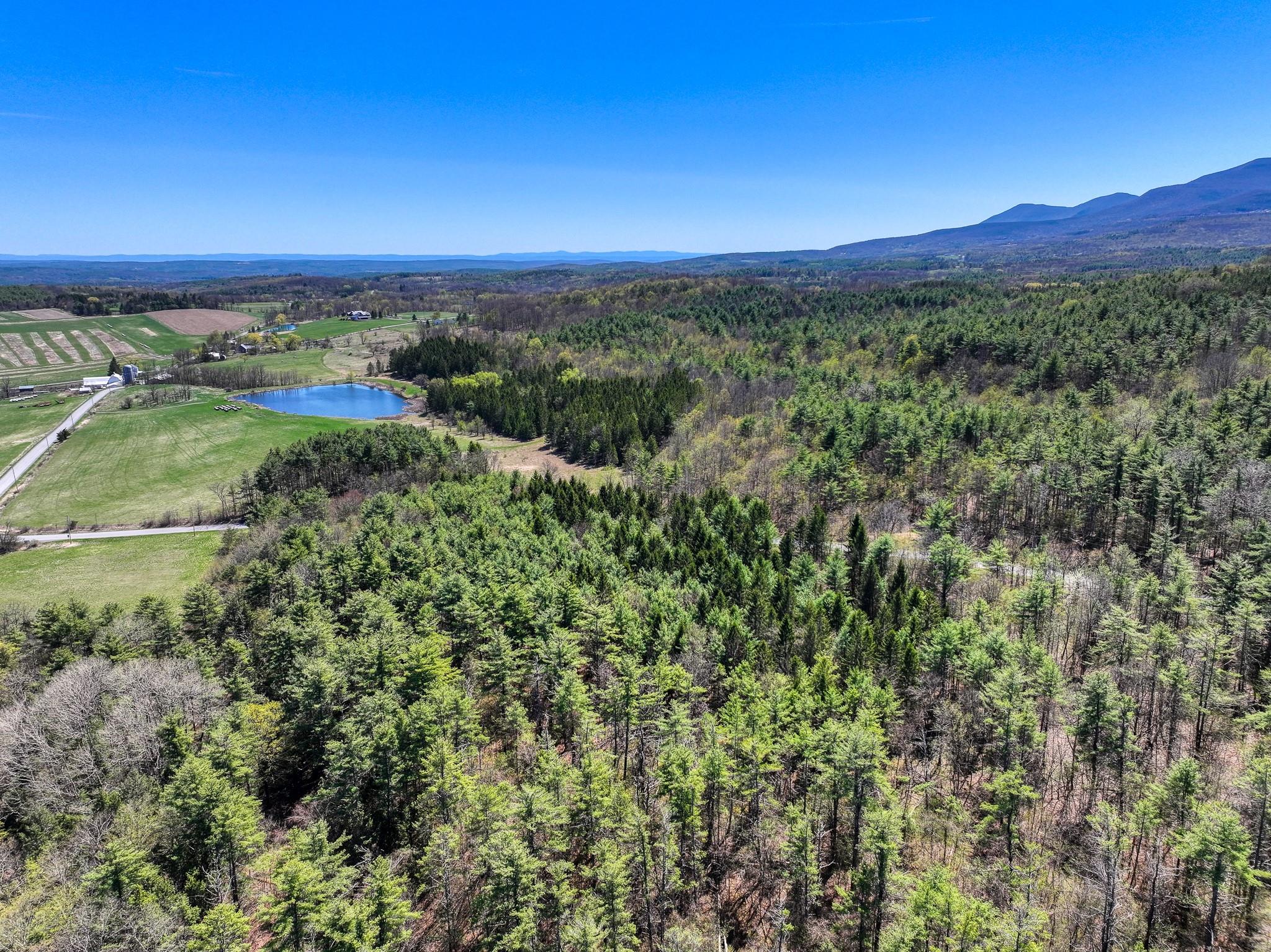 Cunningham/cochrane Road, Durham, New York image 5