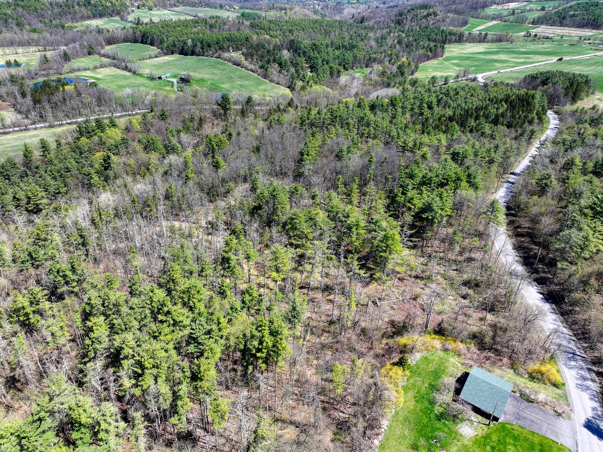 Cunningham/cochrane Road, Durham, New York image 17