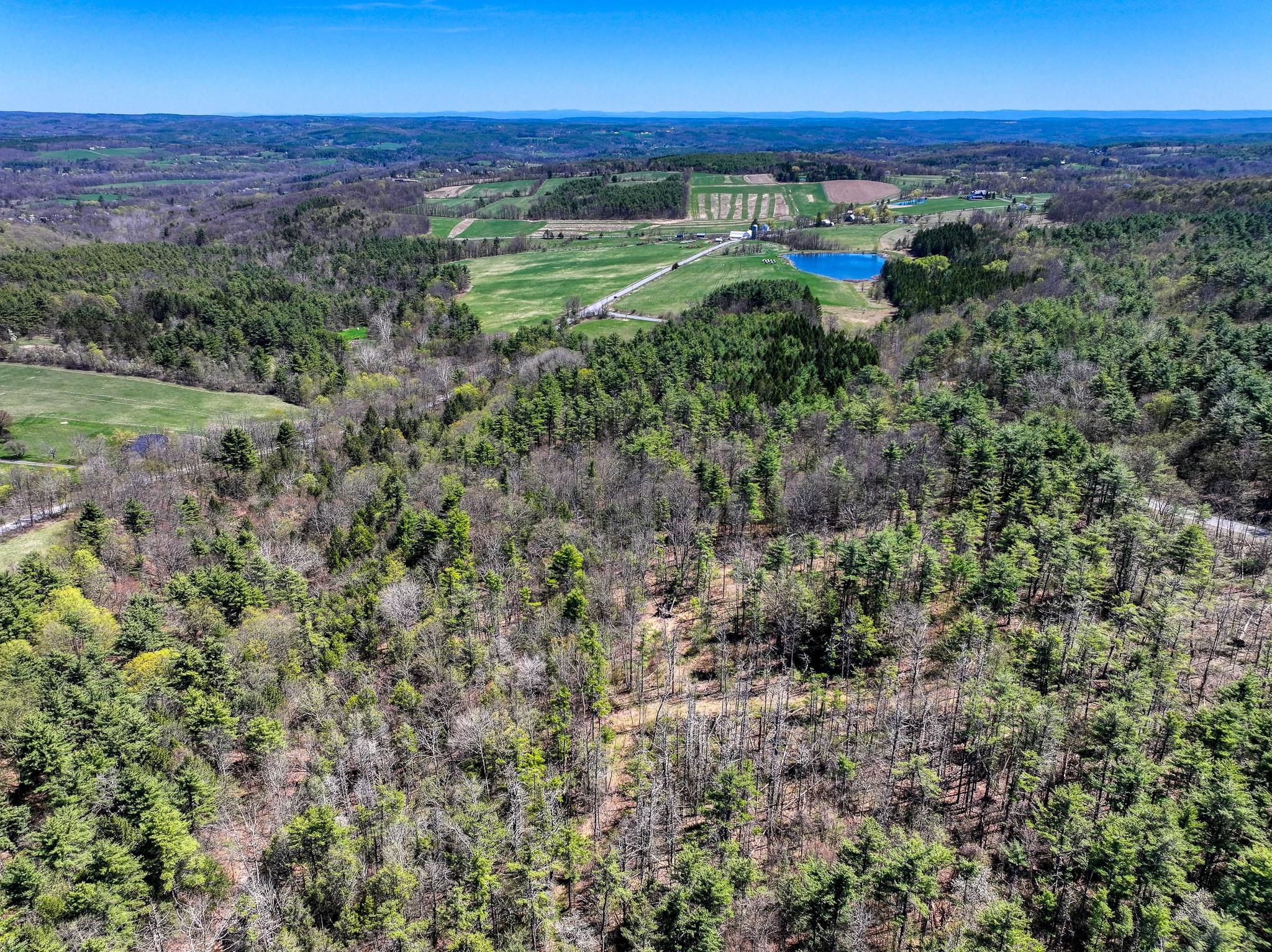 Cunningham/cochrane Road, Durham, New York image 3