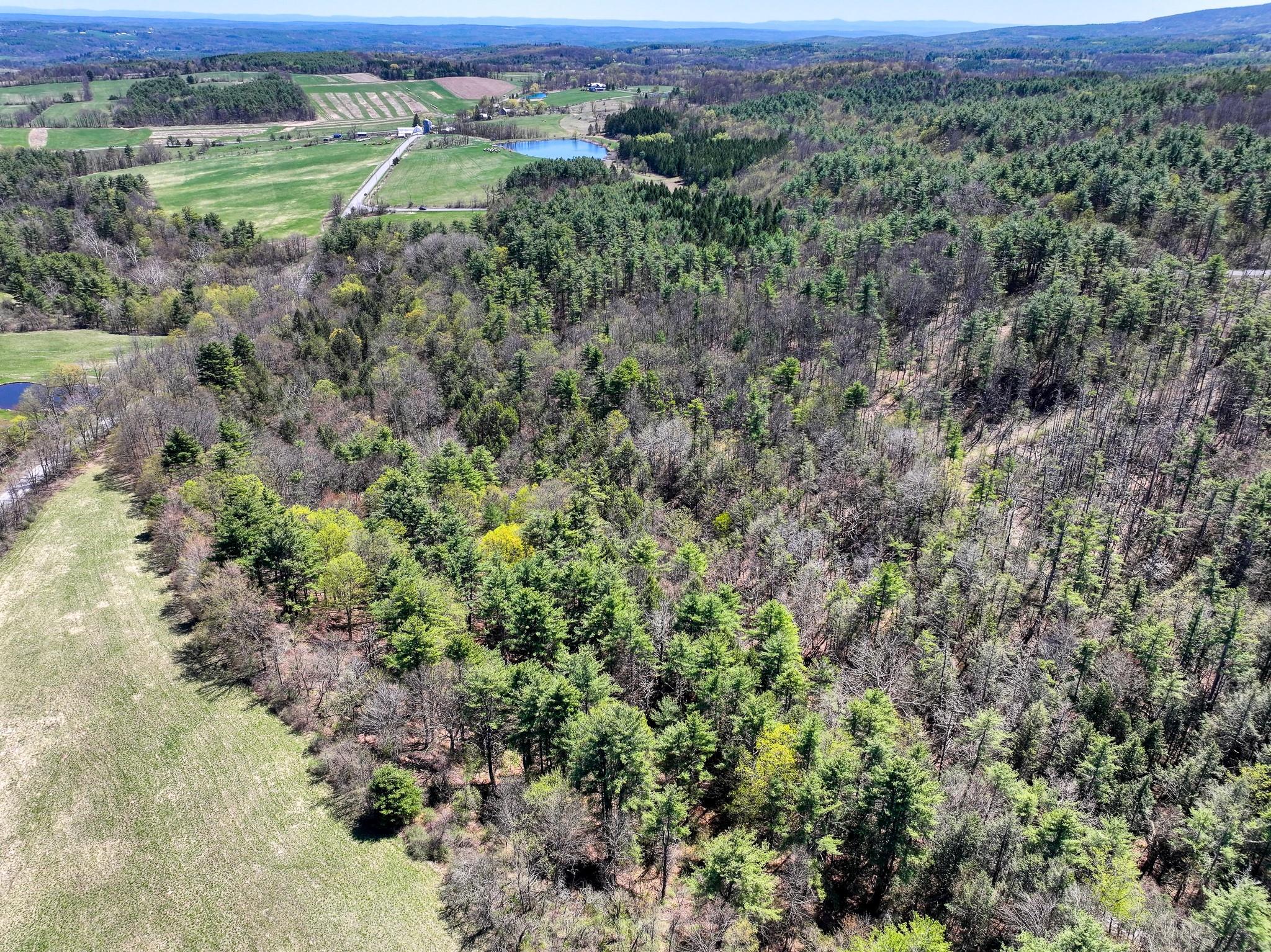 Cunningham/cochrane Road, Durham, New York image 16
