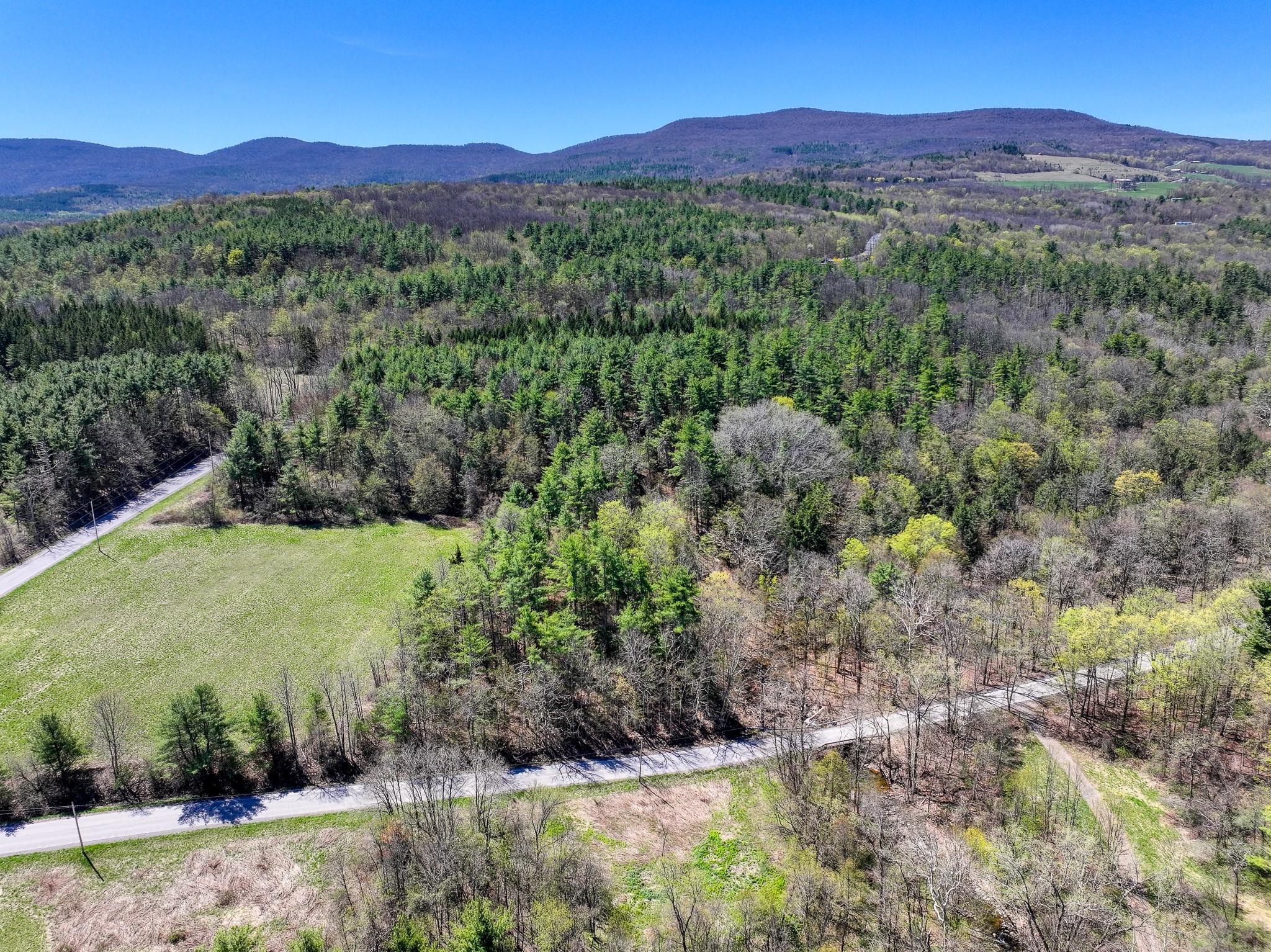 Cunningham/cochrane Road, Durham, New York image 7