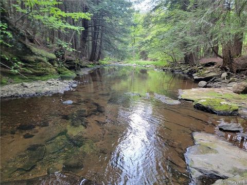 172 Eagles Ridge Way Parksville NY 12768