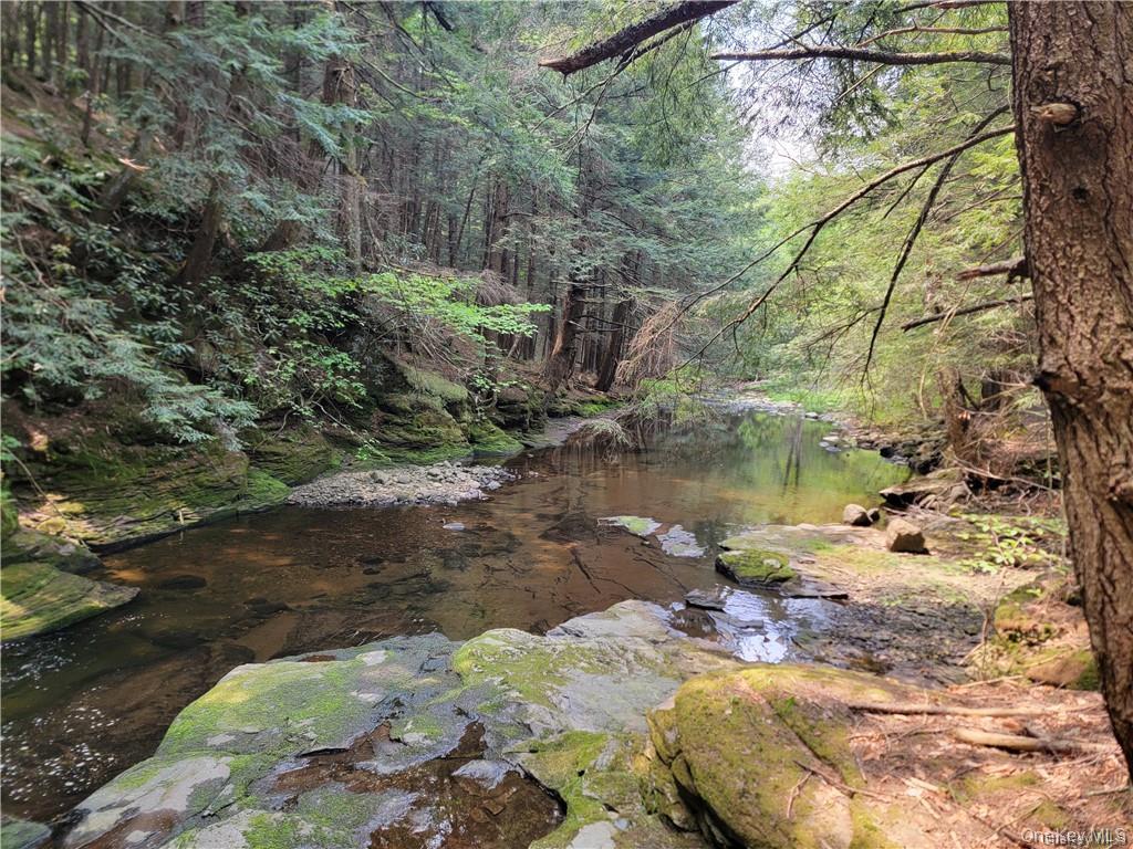 172 Eagles Ridge Way