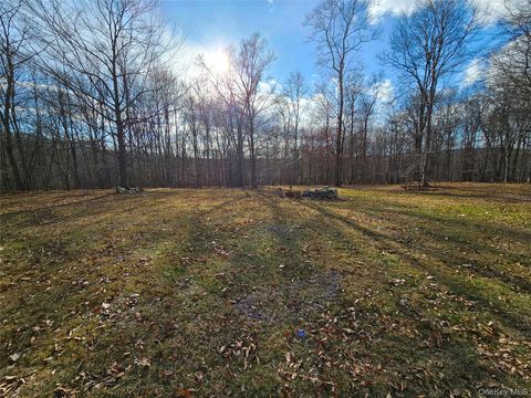 Vacant Land For Sale - Logtown (black Bear Ridge) Road<br/> Greenville, NY 12771