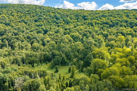 Vacant Land For Sale - Route 22<br/> Pawling, NY 12564