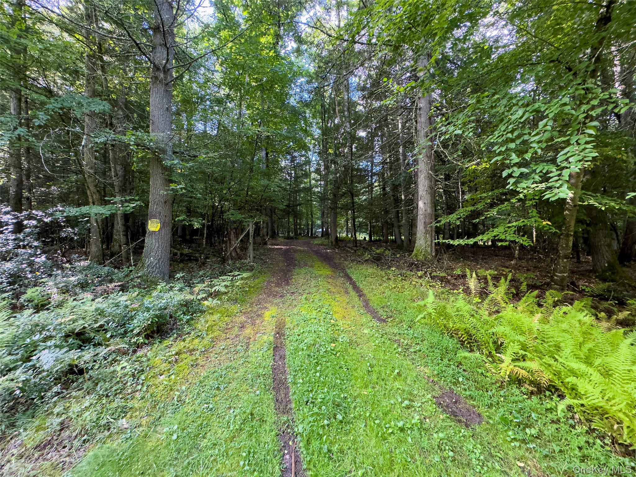 83 Perry Pond Road
