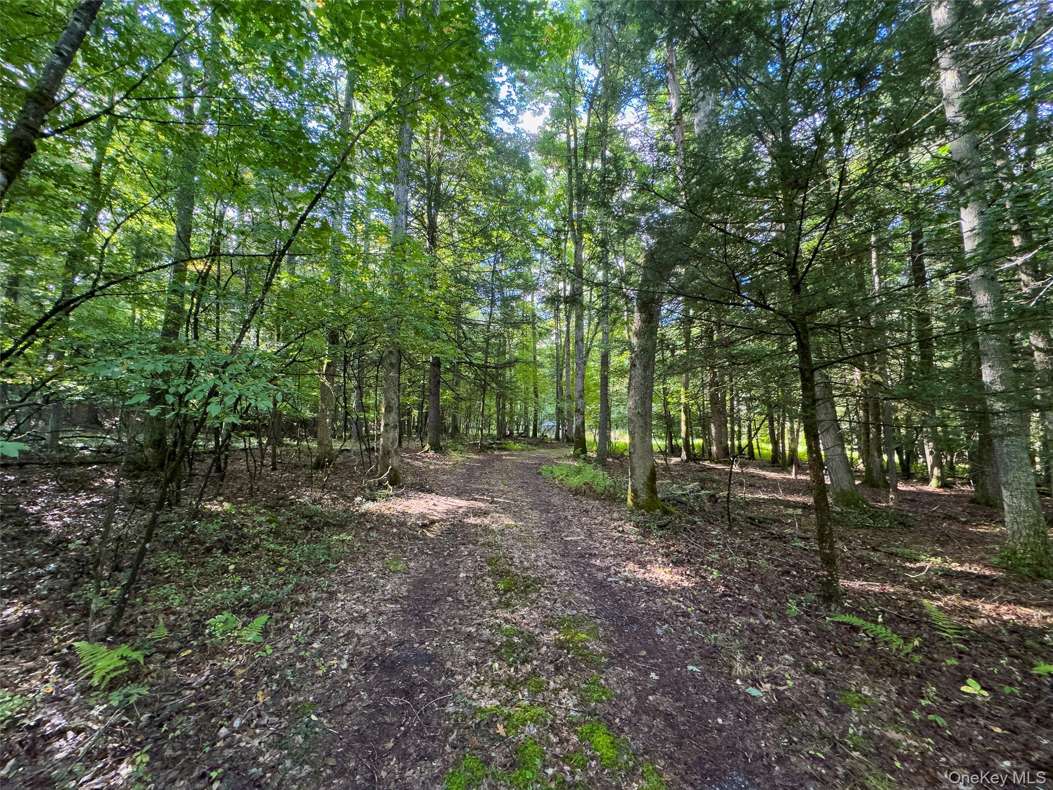 83 Perry Pond Road