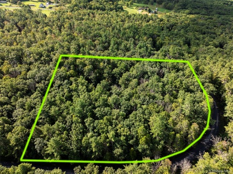 Vacant Land For Sale - 83 Perry Pond Road<br/> Narrowsburg, NY 12764