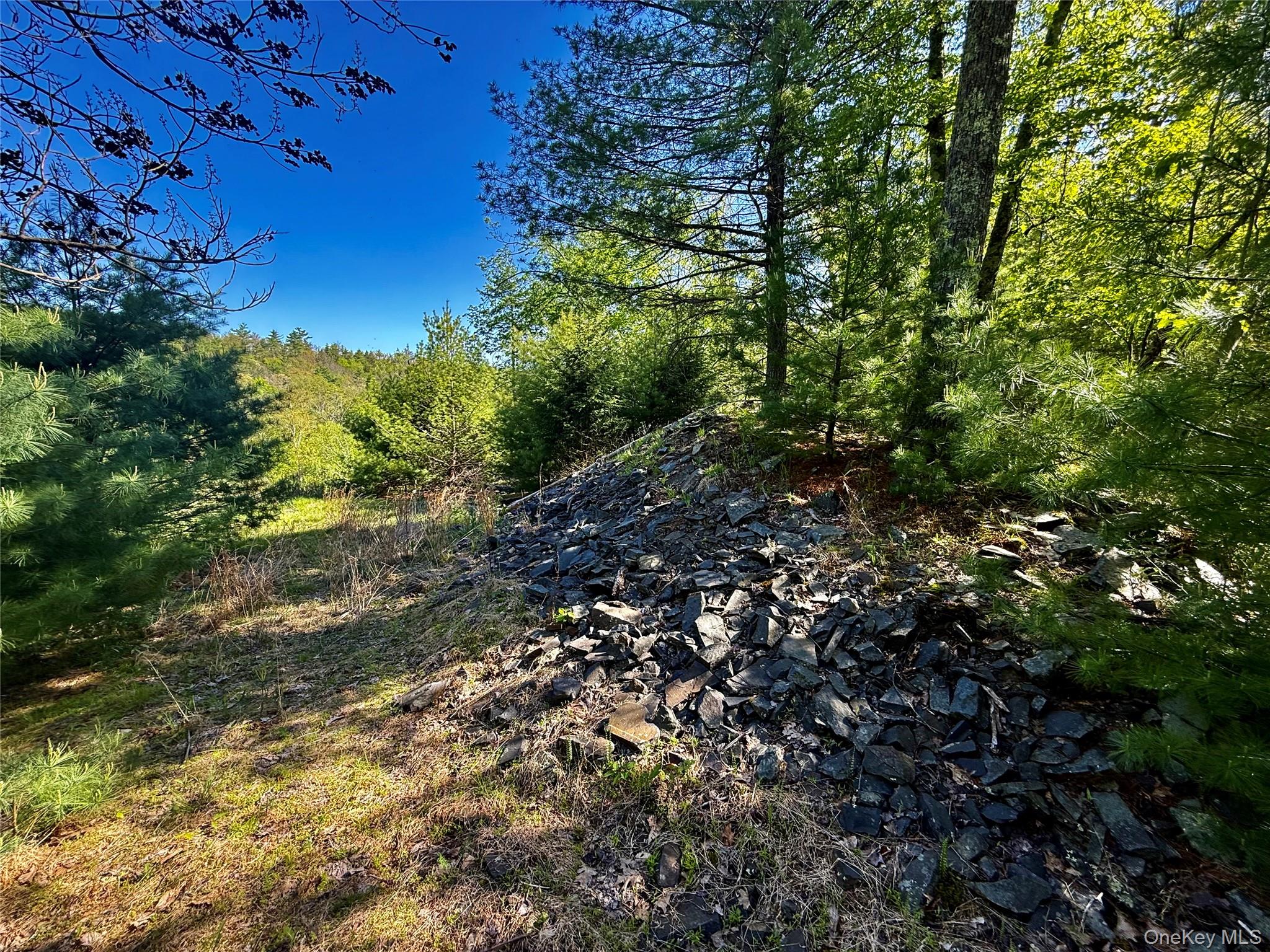 101 Stone Road