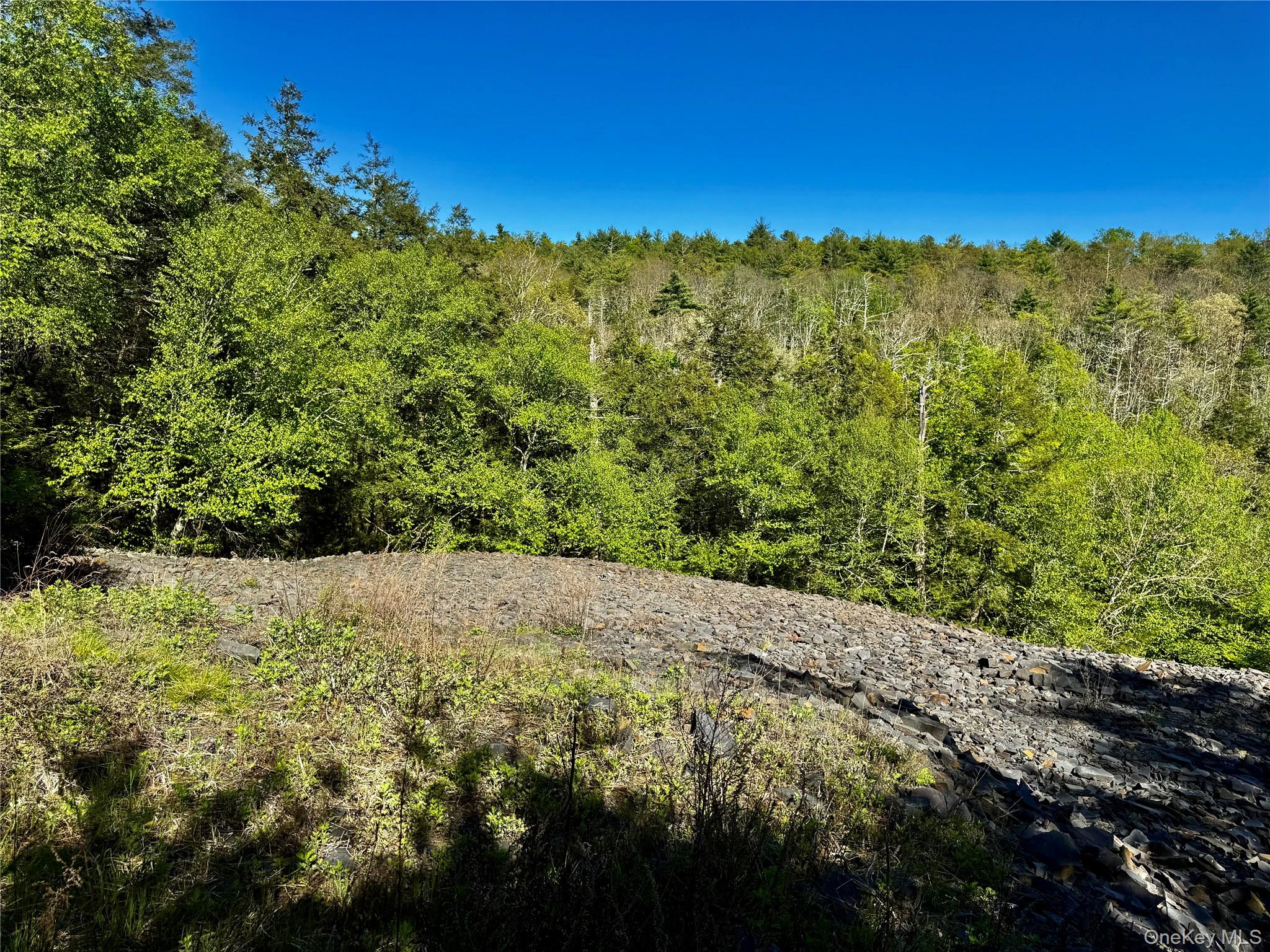 101 Stone Road