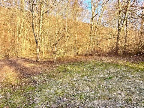 Route 22 Wingdale NY 12594