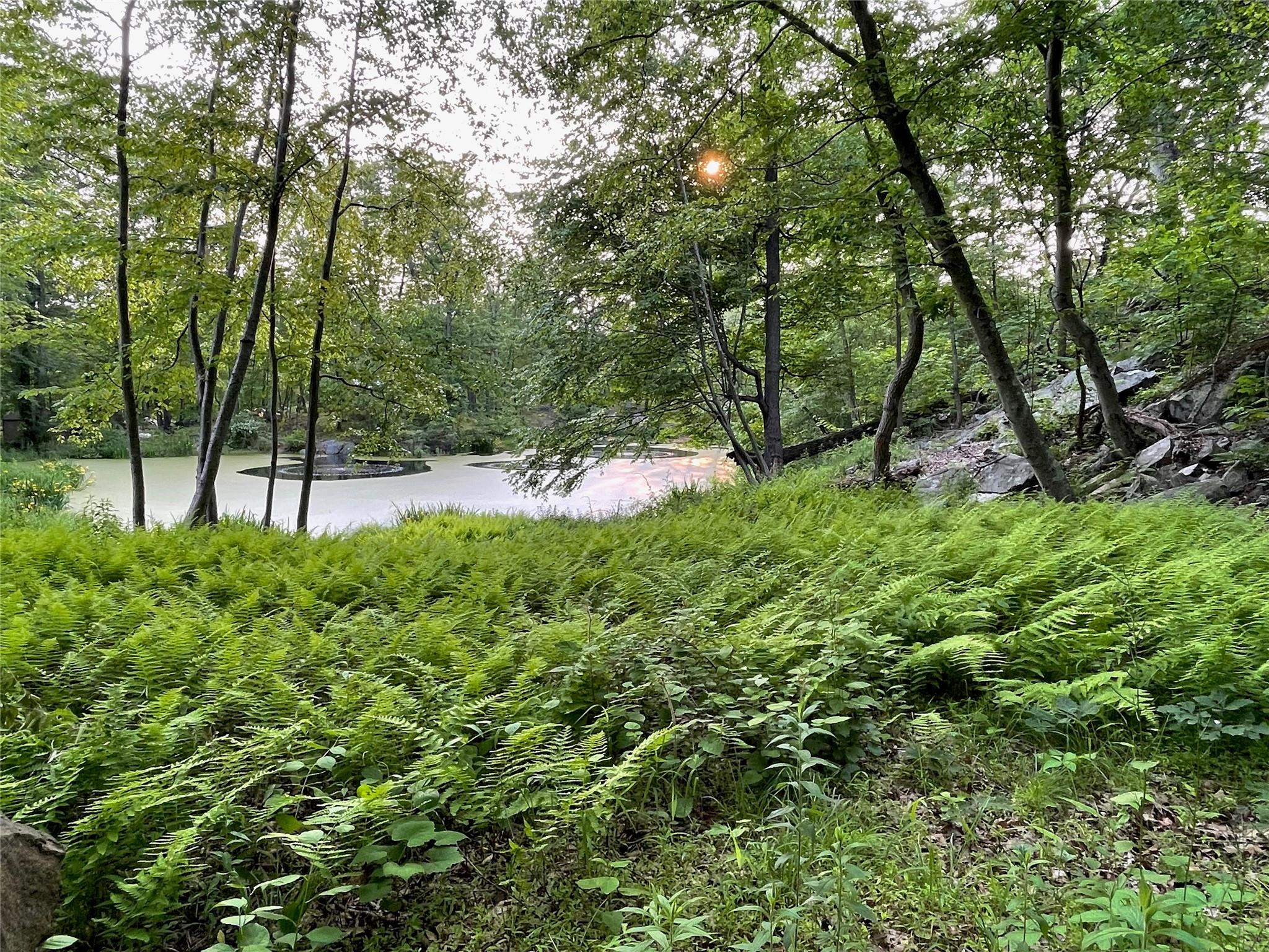 50 Chapman Road, Garrison, New York image 8