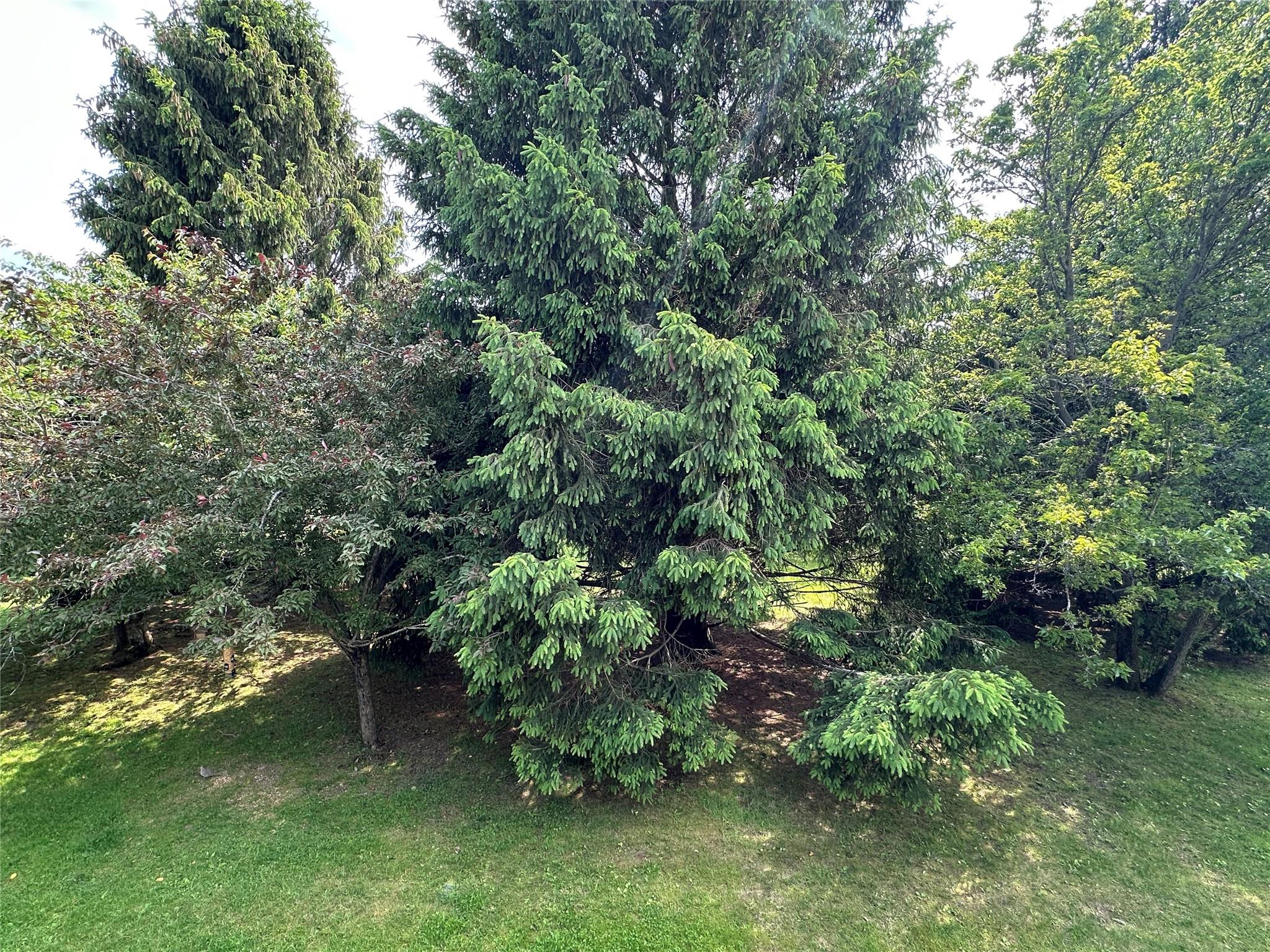 35 Bailey Court #35, Middle Island, New York image 18