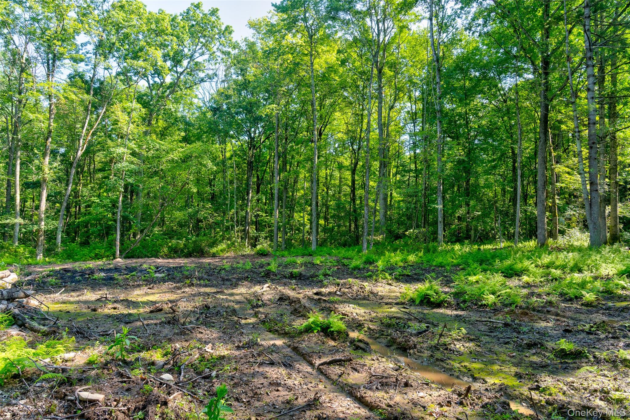 Lot 22 Perry Pond Road