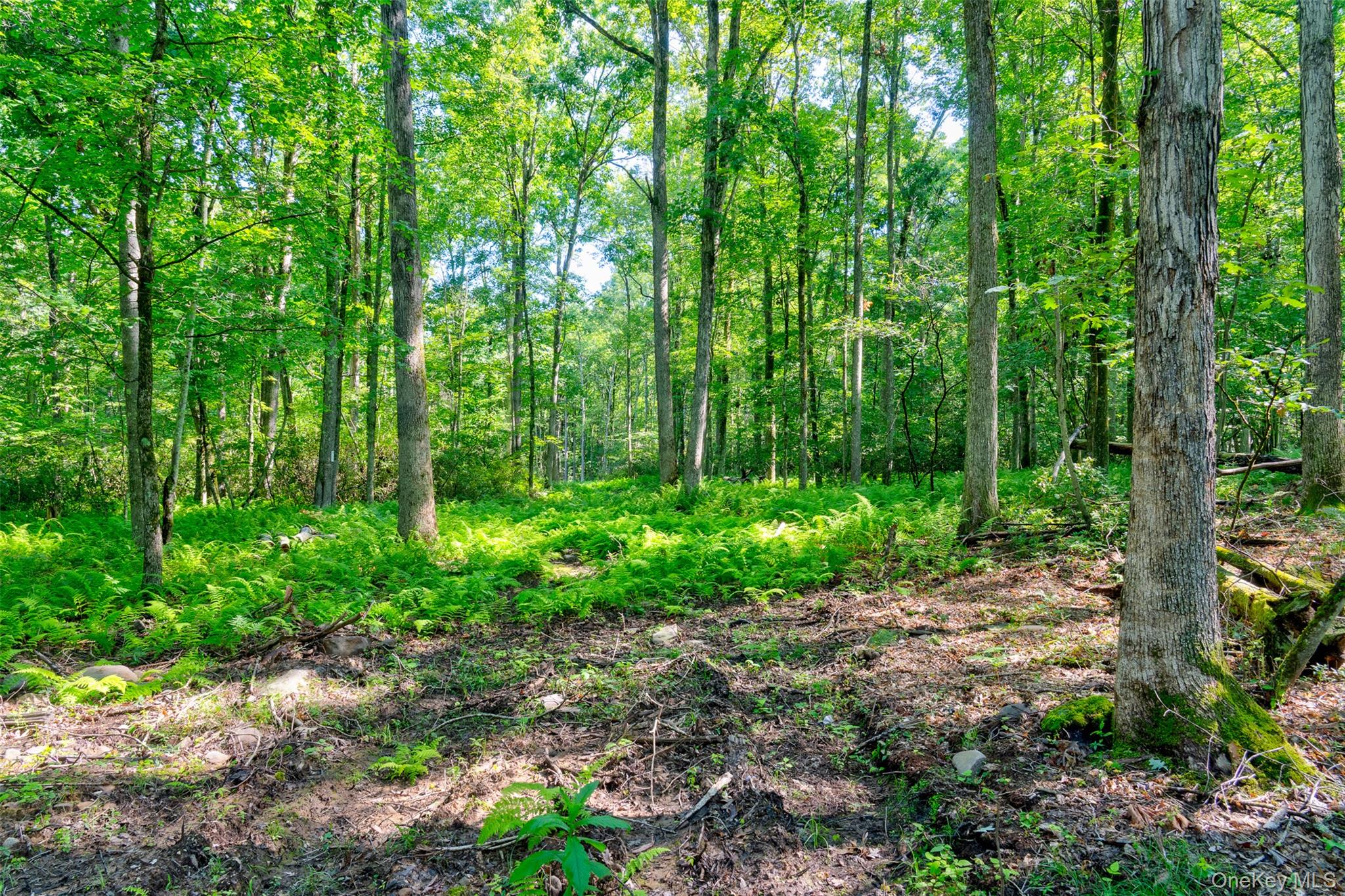 Lot 22 Perry Pond Road