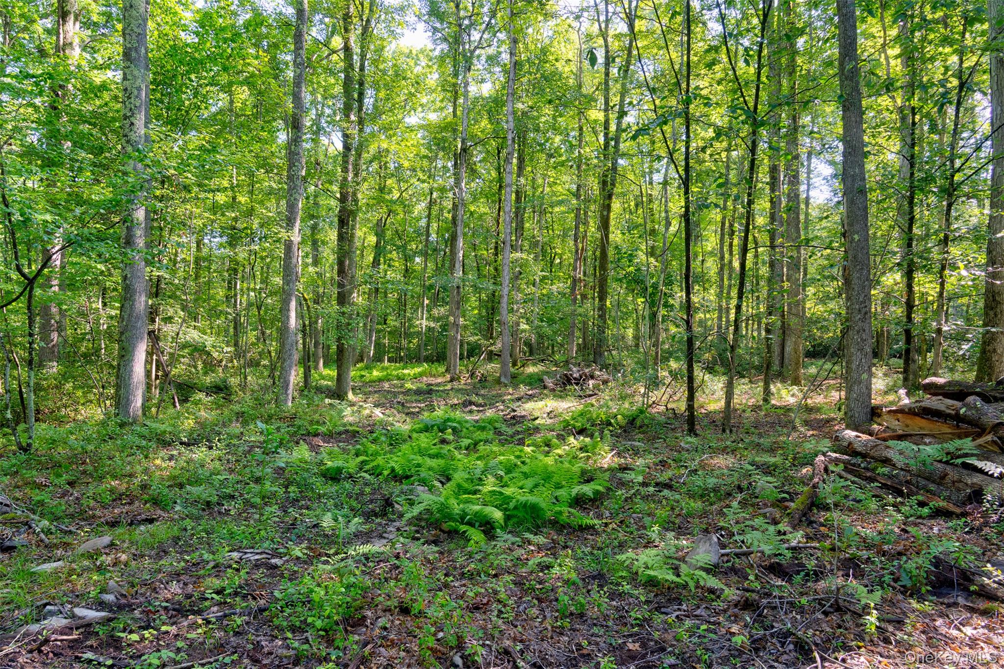 Lot 22 Perry Pond Road