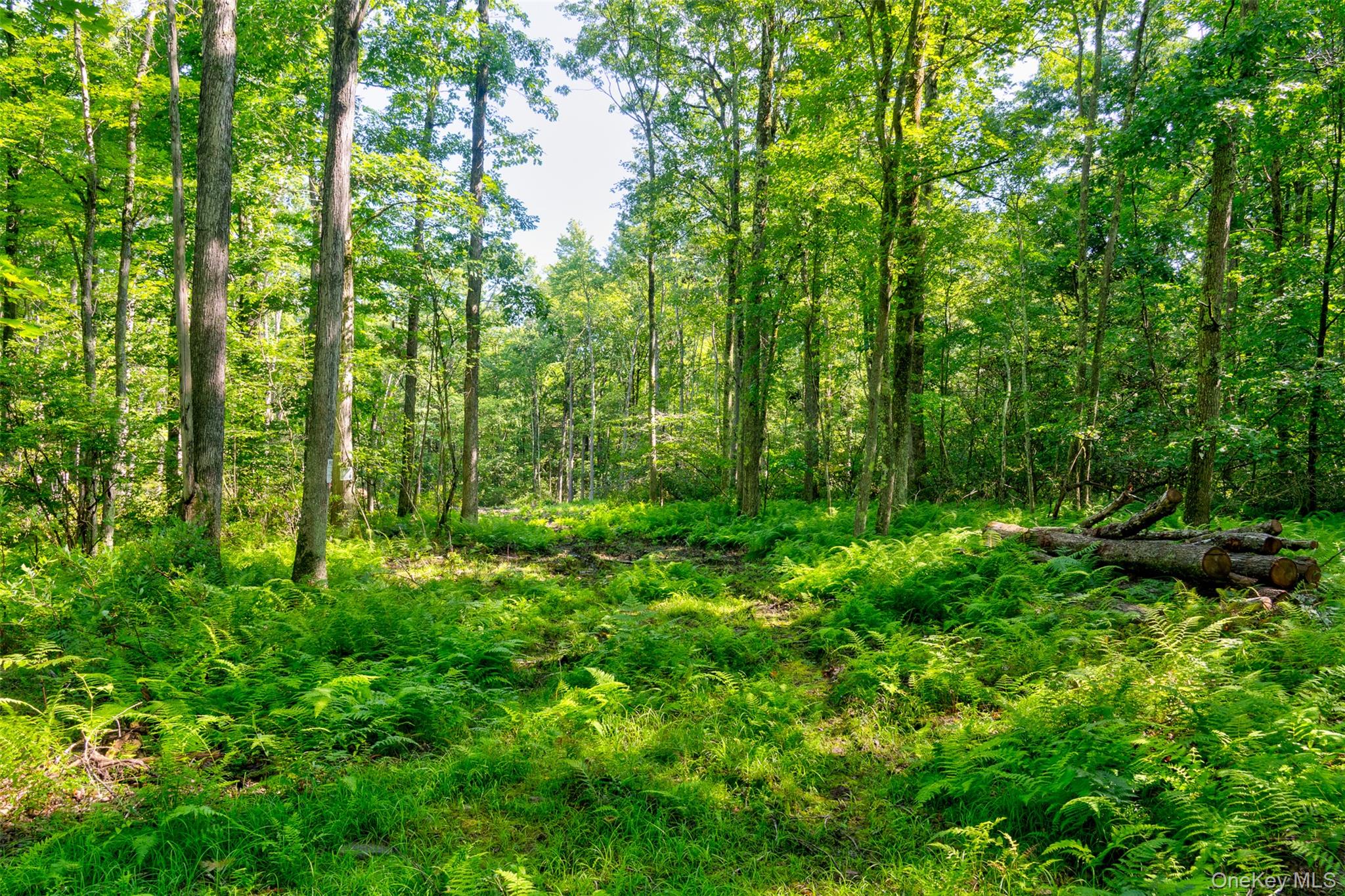Lot 22 Perry Pond Road