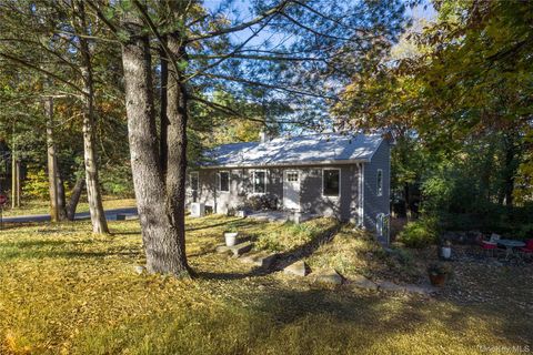 Photo of 21 Henry Street, Elizaville, NY 12523 (MLS # 928962) Photo of 21 Henry Street, Elizaville, NY 12523 (MLS # 928962)