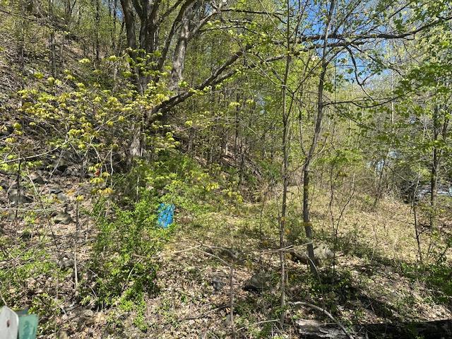 29 Oakes Road, Highland, New York image 13