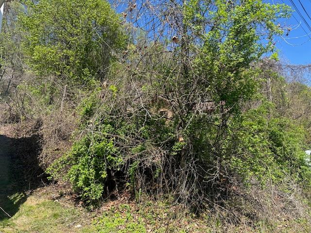 29 Oakes Road, Highland, New York image 8