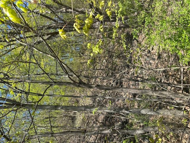 29 Oakes Road, Highland, New York image 15