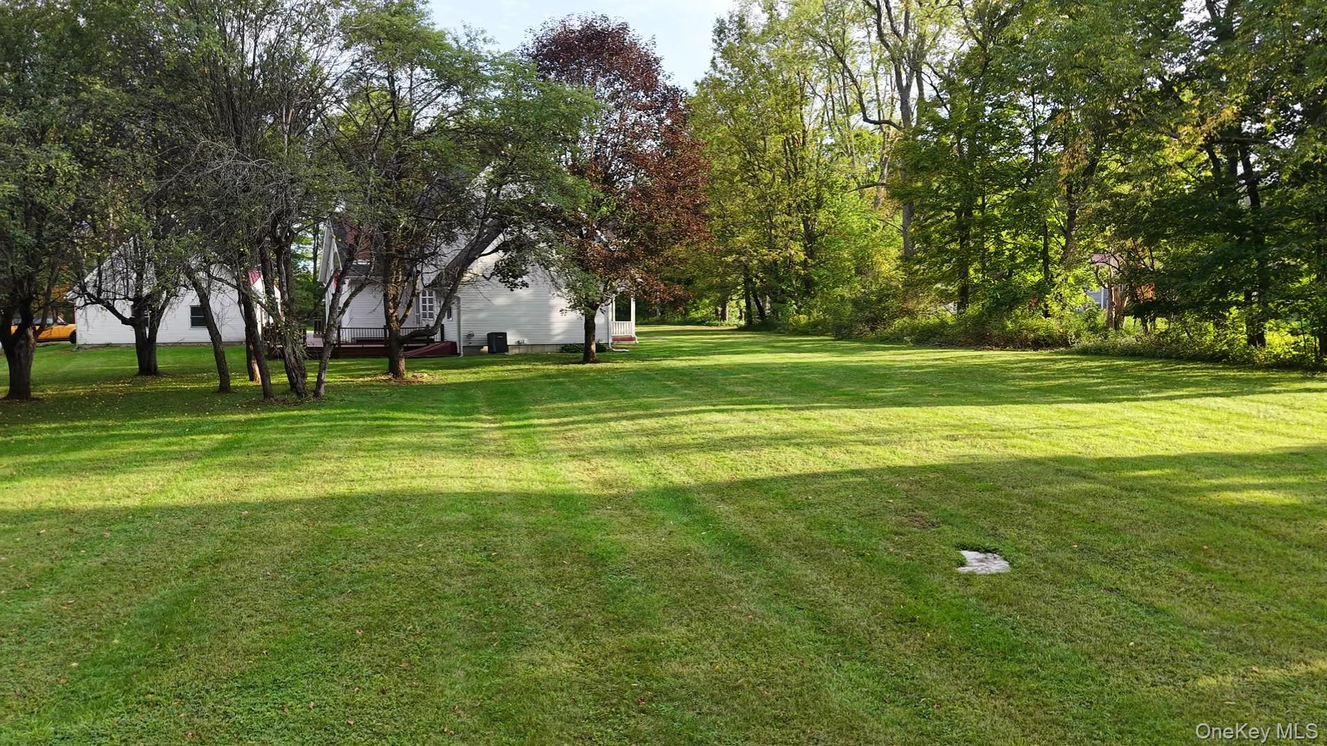 9138 Plank Road
