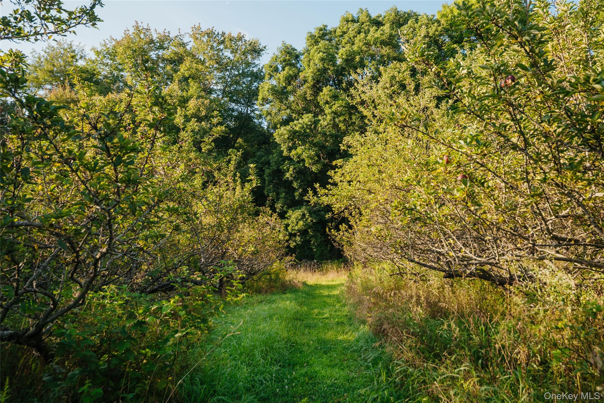 Fosler Road