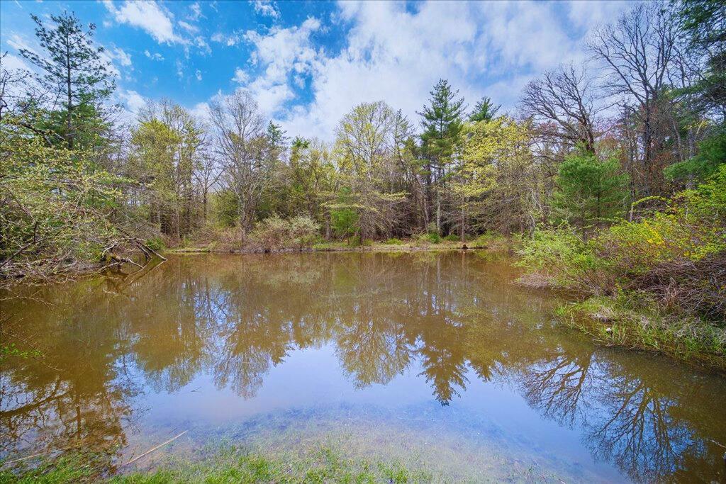 189 Dubois Street, Pine Bush, New York image 43