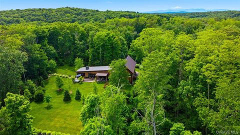 Tiny photo for 44 Woodlands Trail, Clinton Corners, NY 12514 (MLS # 1010034)