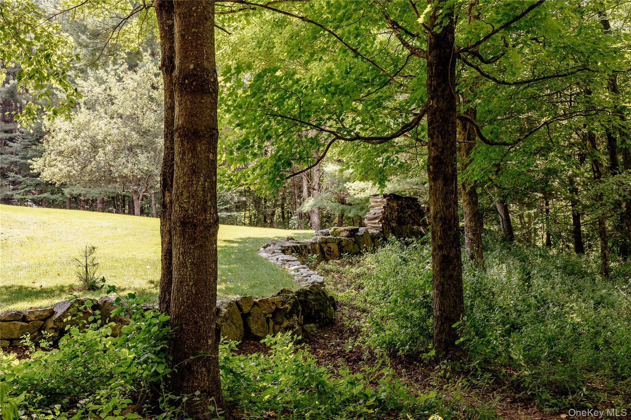 310 Pine Ridge Lane