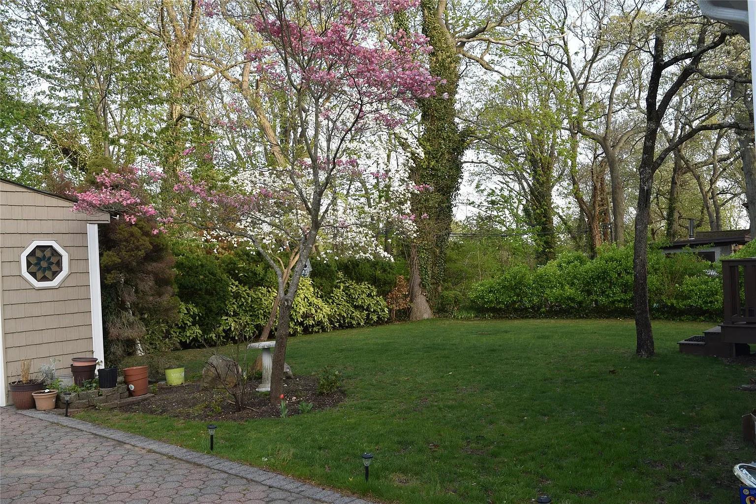 50 Shady Lane