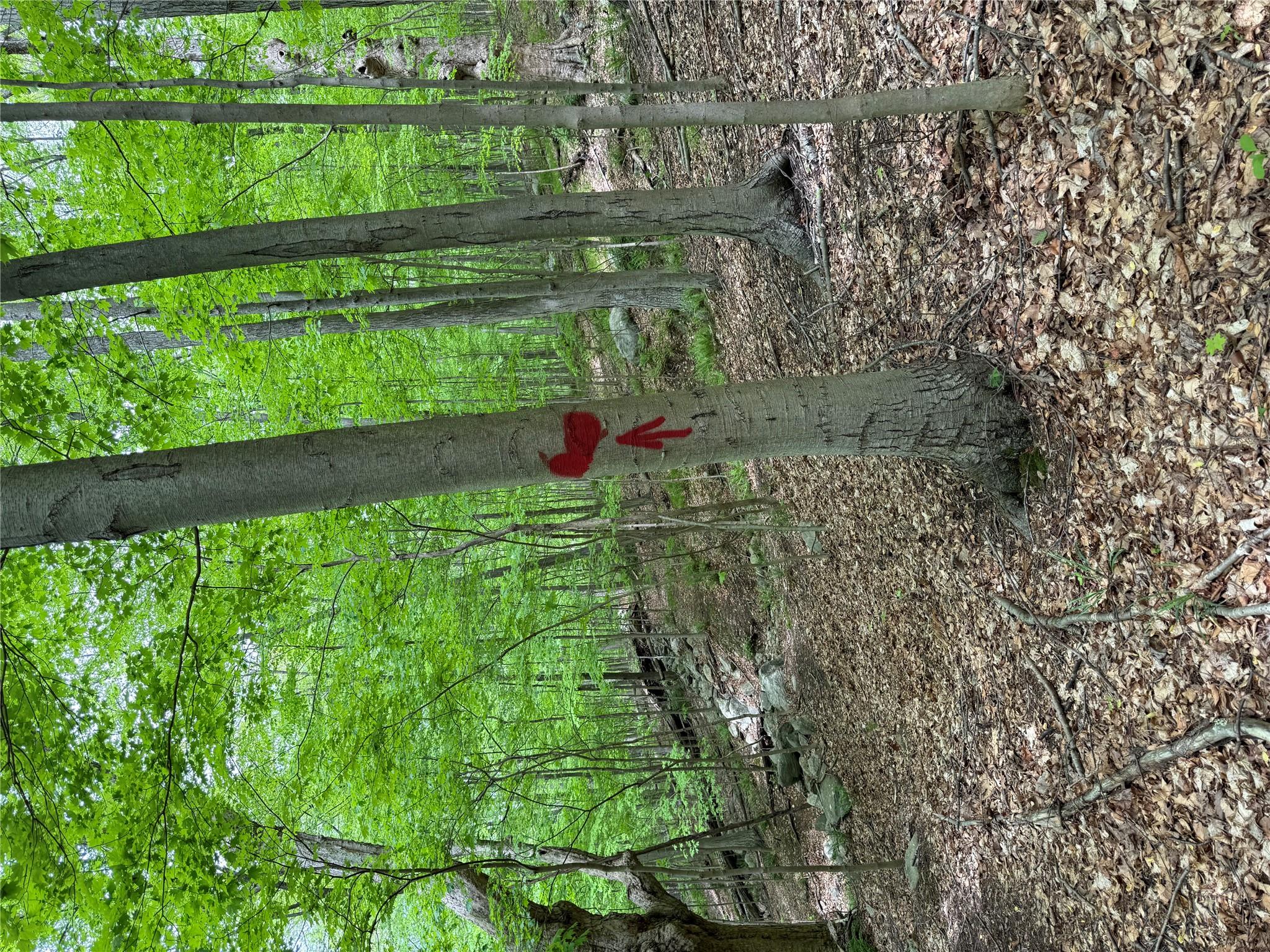 650 Peekskill Hollow Road, Putnam Valley, New York image 47