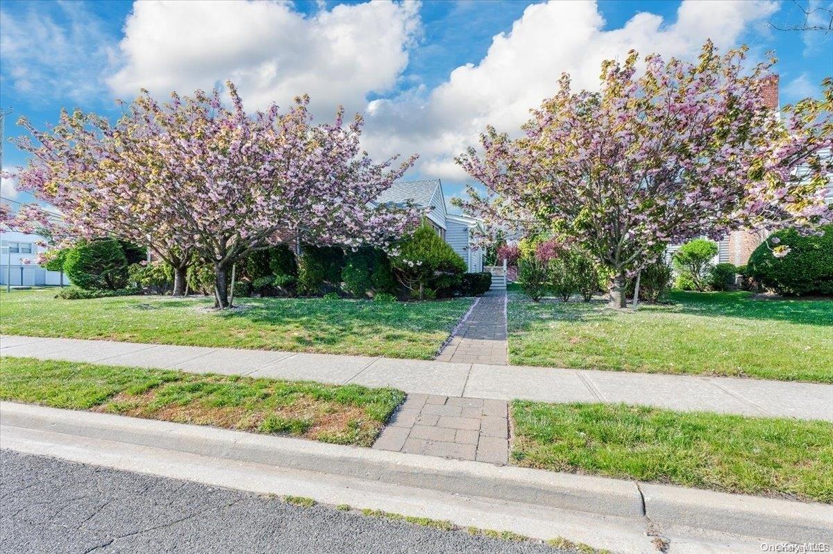 Hempstead, New York 11509, United States, 3 Bedrooms Bedrooms, ,3 BathroomsBathrooms,Residential,Active,29458