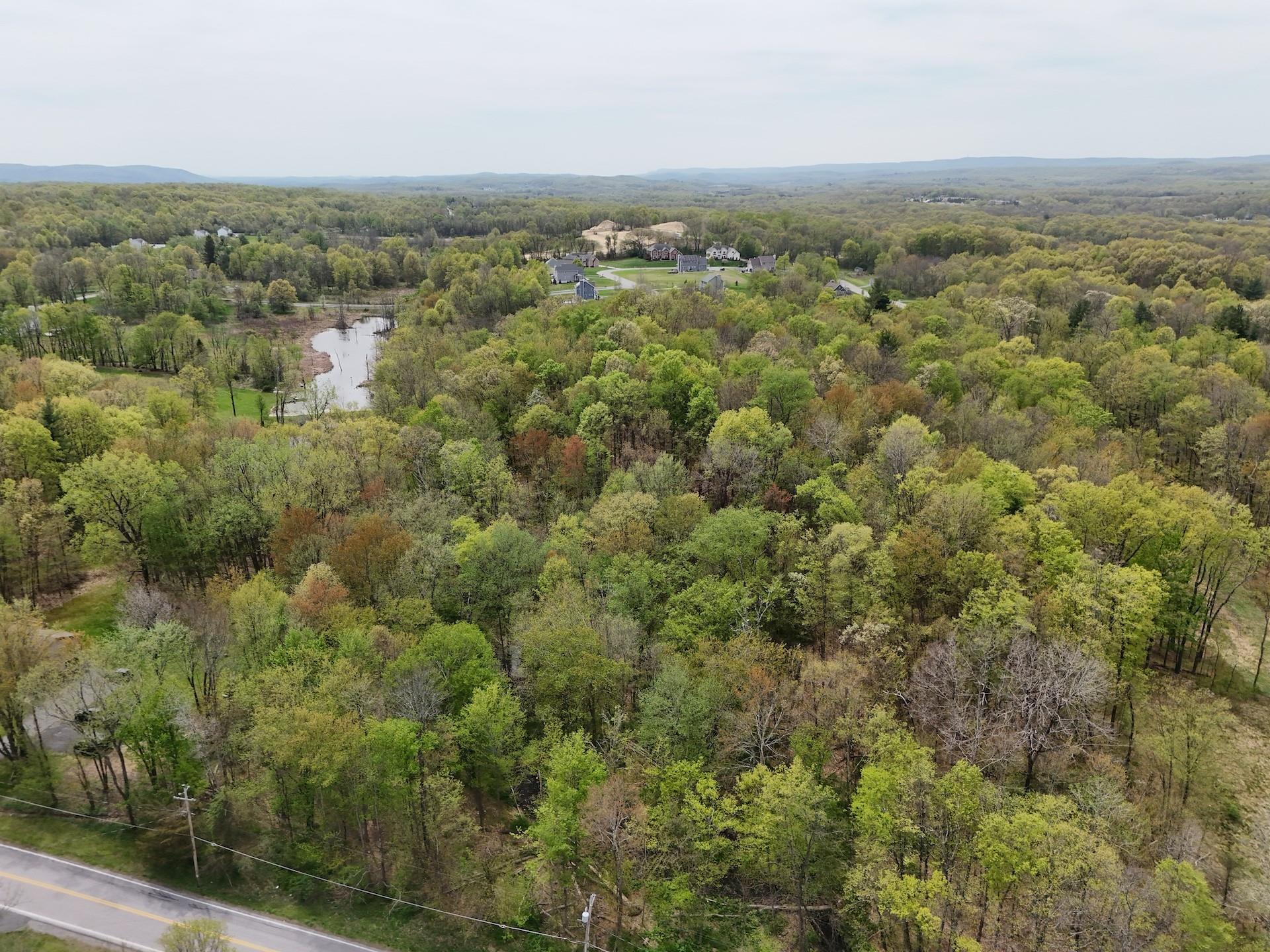 Ridgebury Hill Road, Slate Hill, New York image 7
