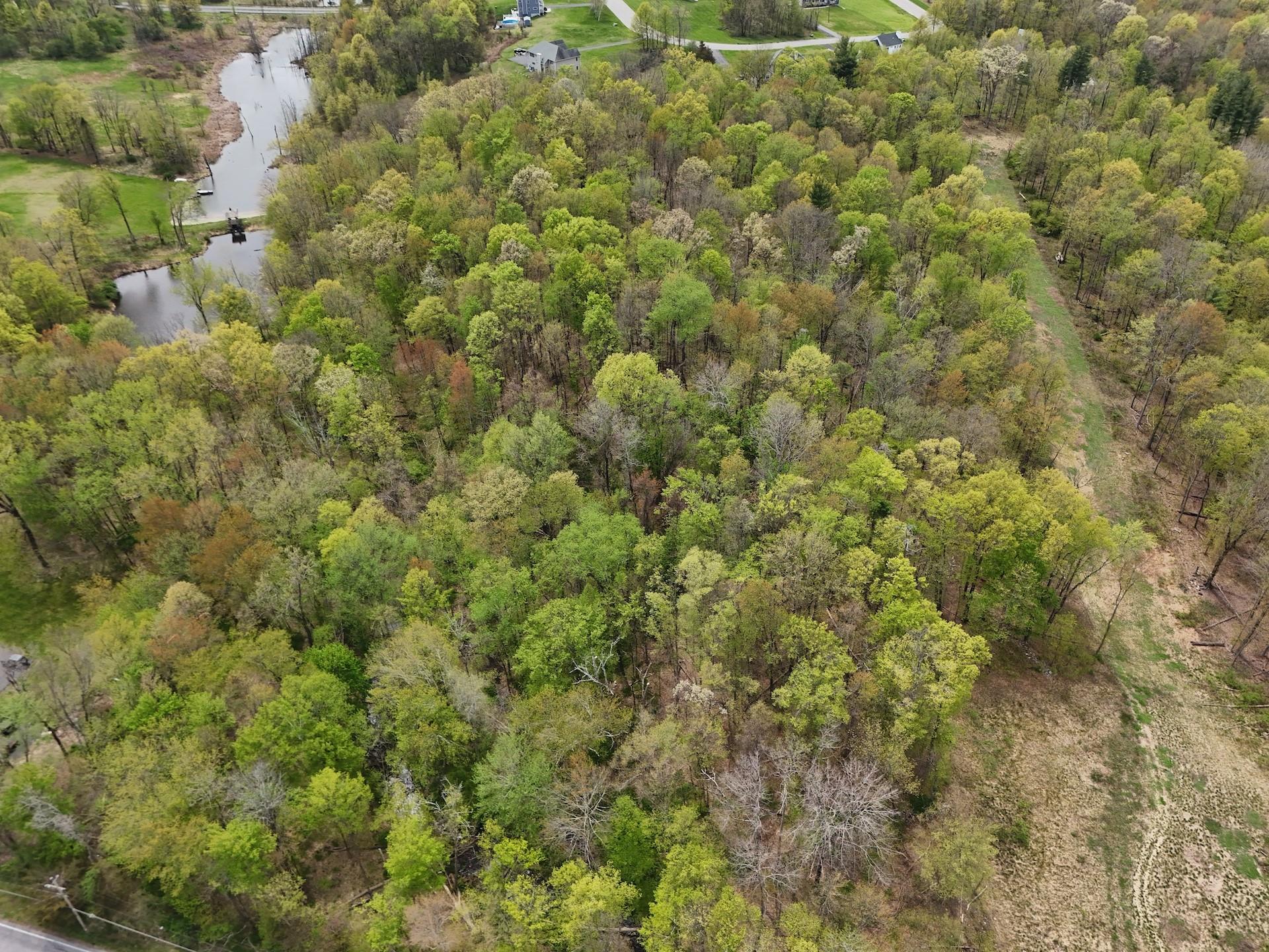 Ridgebury Hill Road, Slate Hill, New York image 9