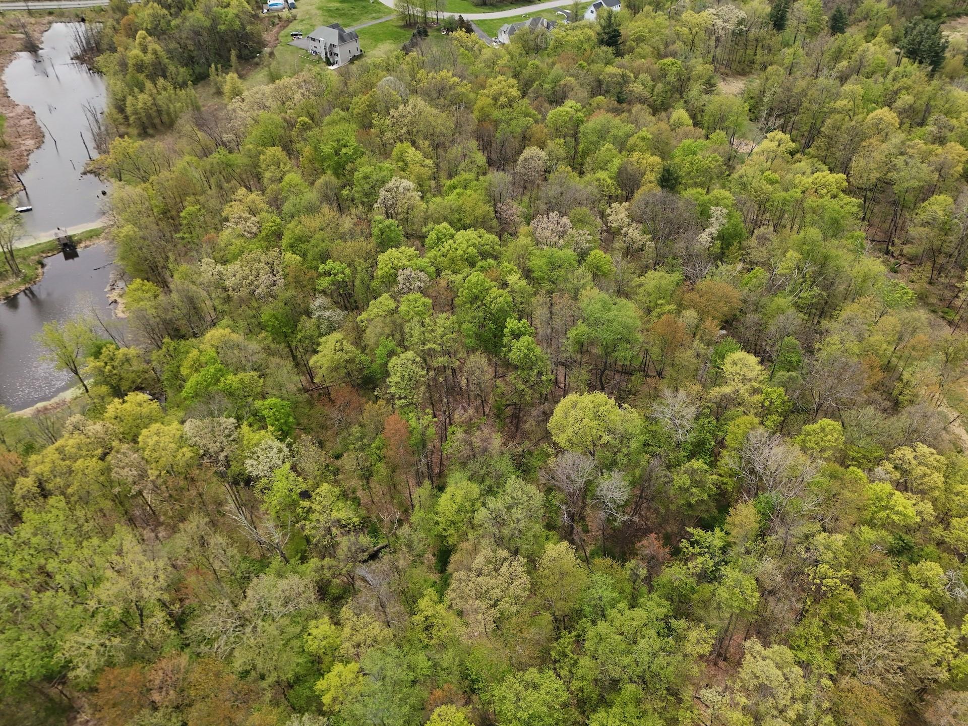 Ridgebury Hill Road, Slate Hill, New York image 8
