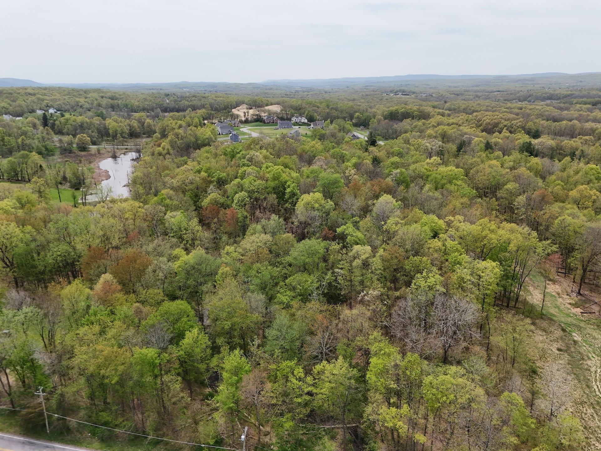 Ridgebury Hill Road, Slate Hill, New York image 5