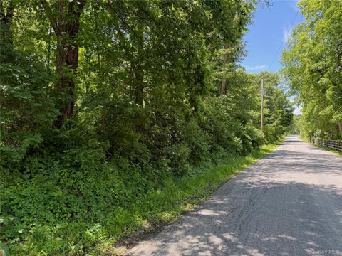 Vacant Land For Sale - Schoolhouse Road<br/> Staatsburg, NY 12580