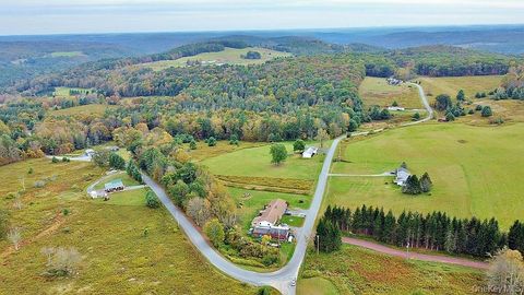 Vacant Land For Sale - 000 Kautz Road<br/> Callicoon, NY 12723