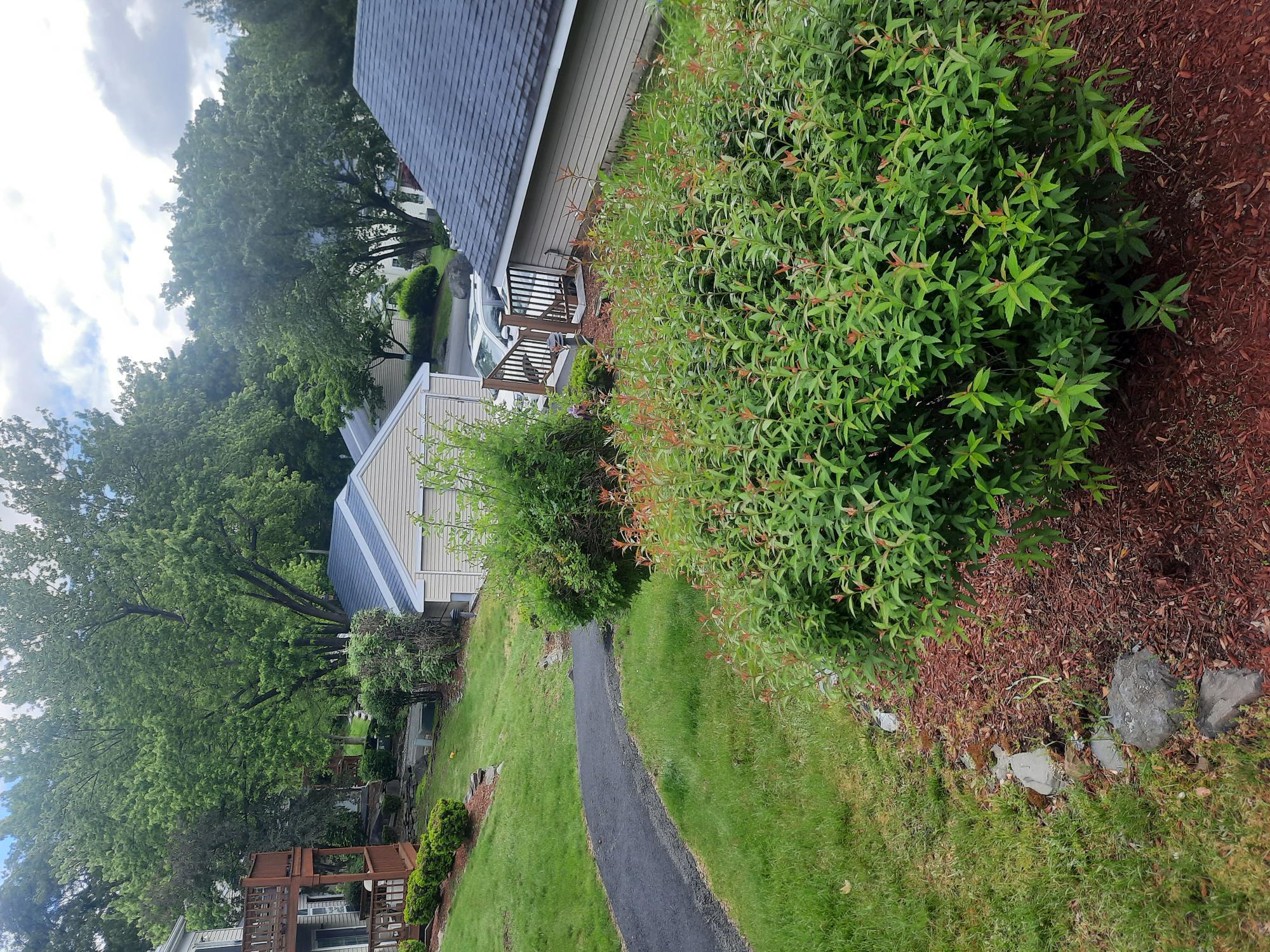 1502 Evergreen Court, Highland Mills, New York image 31