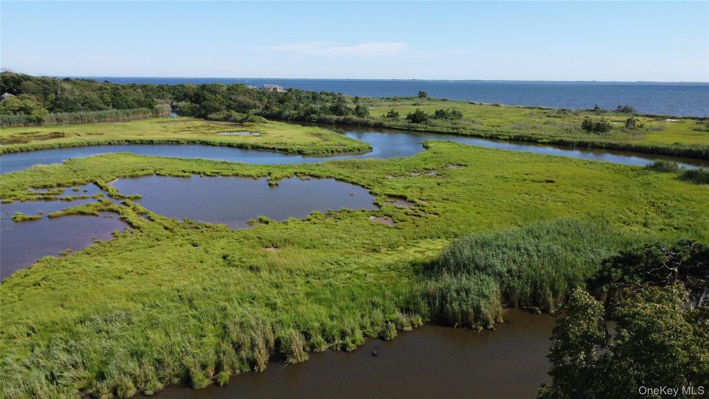 Photo of 243 S Dunton Avenue, East Patchogue, NY 11772 (MLS # 968344)