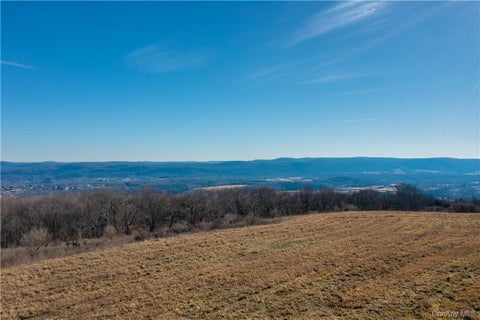 Vacant Land For Sale - 1297 Route 343<br/> Dover Plains, NY 12522